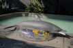 Dolphin poupée sexuelle fantasy silicone en stock 130cm nature Dolls Castle