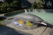Dolphin poupée sexuelle fantasy silicone en stock 130cm nature Dolls Castle