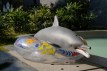 Dolphin poupée sexuelle fantasy silicone en stock 130cm nature Dolls Castle
