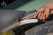 Dolphin poupée sexuelle fantasy silicone en stock 130cm nature Dolls Castle