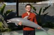 Dolphin poupée sexuelle fantasy silicone en stock 130cm nature Dolls Castle