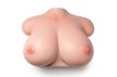 C03 buste masturbateur silicone en stock Yeloly